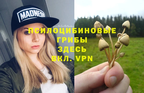 MDMA Premium VHQ Алзамай