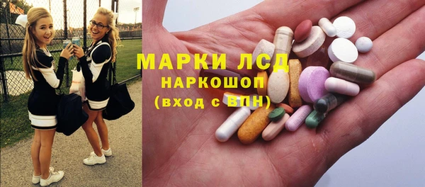 крисы Алексин