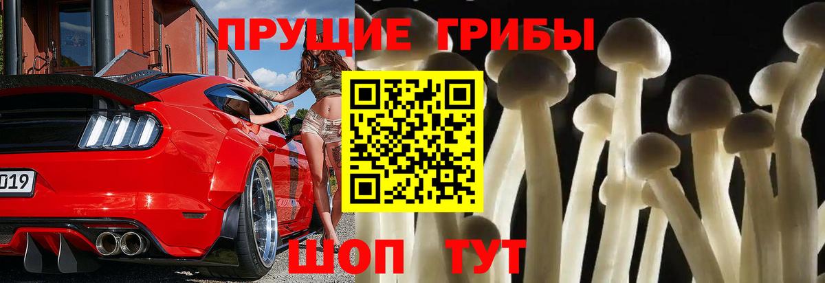 Галлюциногенные грибы ЛСД Карачаевск